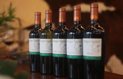 進(jìn)口海運(yùn)：阿根廷海運(yùn)進(jìn)口到中國門到門雙清