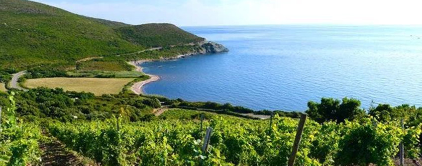 紅酒進口報關(guān)：智利紅酒進口報關(guān)流程及關(guān)稅