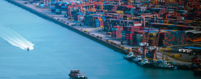 天津港藍(lán)莓“保鮮戰(zhàn)”：通關(guān)效率如何守護(hù)節(jié)日民生？