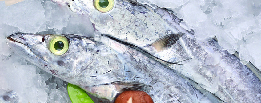 凍帶魚進(jìn)口報(bào)關(guān)注意事項(xiàng)？