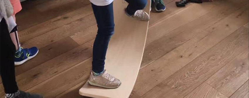 荷蘭平衡板進口深圳清關