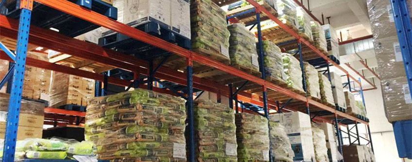 寵物糧進口報關流程