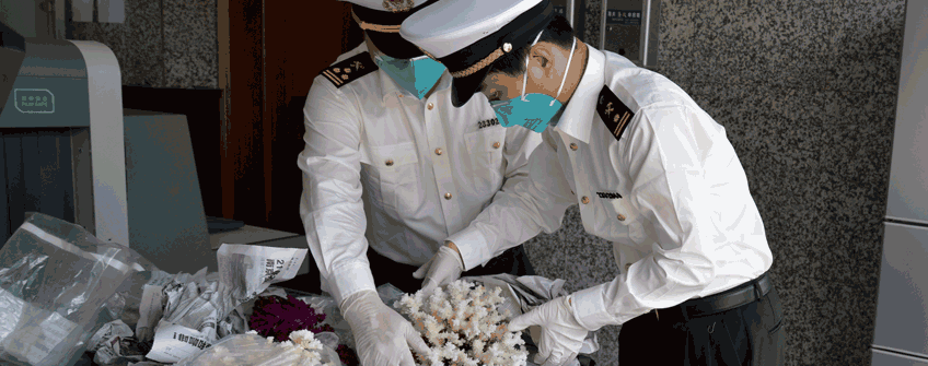 如何區(qū)分香港進口報關(guān)和香港進口清關(guān)