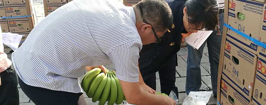 水果進口報關(guān)流程和所需資質(zhì)及單證