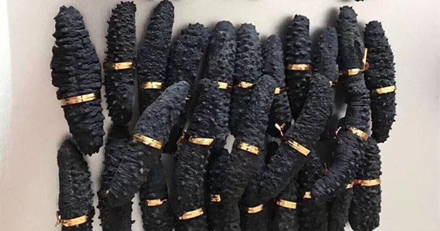 水產(chǎn)品報關(guān)：干海參進口清關(guān)流程手續(xù)