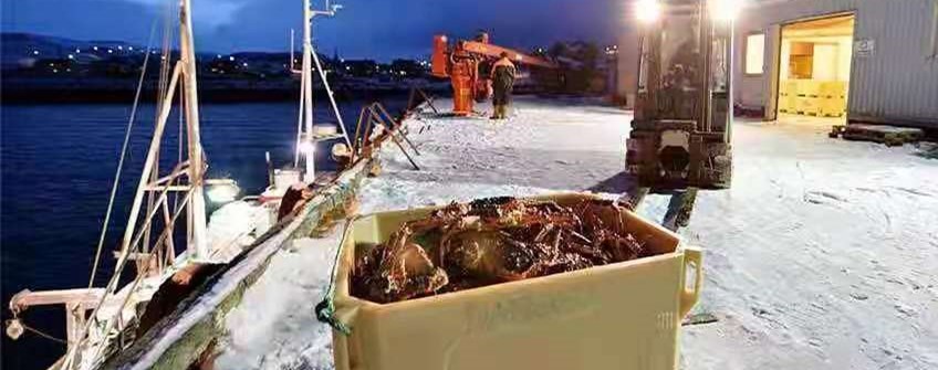 國外活海鮮進口廣州可以清關(guān)嗎？