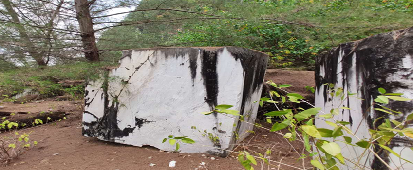 馬來西亞進(jìn)口大理石