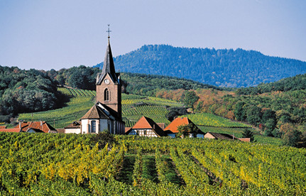 葡萄酒進(jìn)口報(bào)關(guān)：法國(guó)紅酒進(jìn)口報(bào)關(guān)要素有哪些？